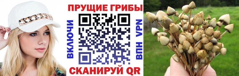 Псилоцибиновые грибы MAGIC MUSHROOMS мориарти телеграм Волосово