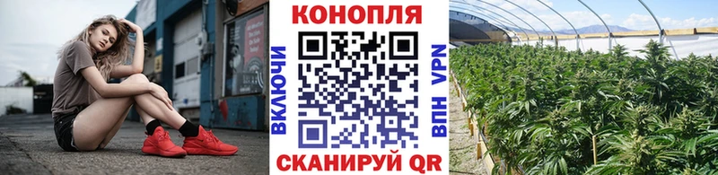 наркотики Волосово Конопля сатива